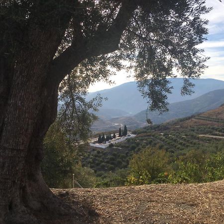 Jardin Andaluz Appart Alhambra Пинос-дель-Валье Экстерьер фото