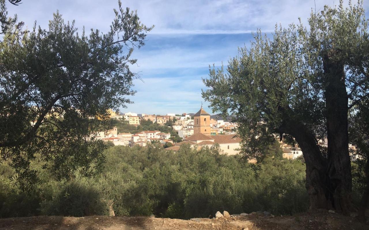 Jardin Andaluz Appart Alhambra Пинос-дель-Валье Экстерьер фото