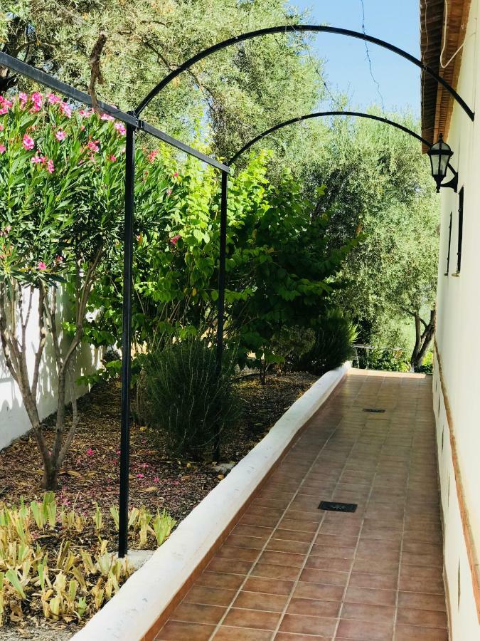 Jardin Andaluz Appart Alhambra Пинос-дель-Валье Экстерьер фото